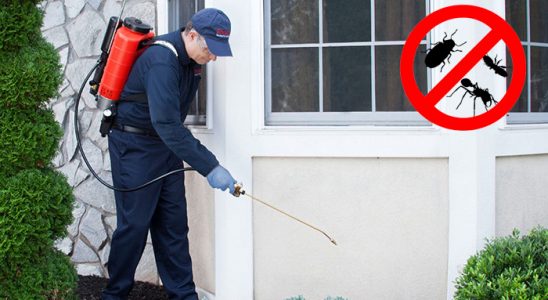 Sason Dezenfeksiyon böcek ilaçlama ve haşere kontrolü — ilaclama-tr.com